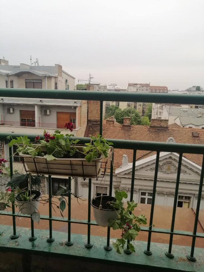 Apartman Centar Beograd Exteriér fotografie